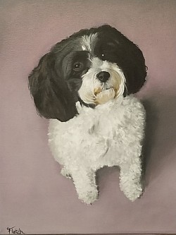 Pet portrait