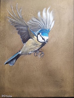 Bird oil paintings