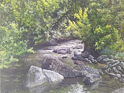 Welsh Woodland river 16